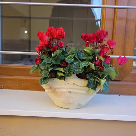 Casa Bella Vista Mit Balkon